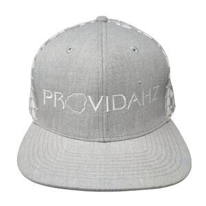 Providahz Snapback Hat Gray One Size Adjustable Embroidered Double Portion